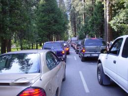 current road information in Yosemite