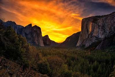One day tours of Yosemite