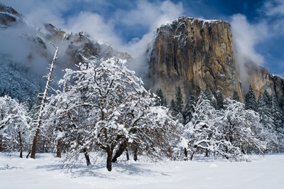 Yosemite winter tours