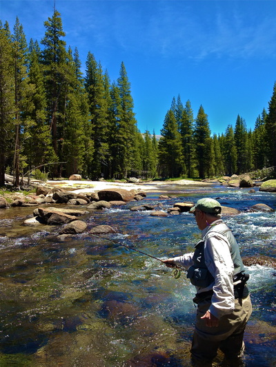 Local fly fishing guide in Yosemite