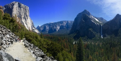 Giant Sequoias Yosemite hikes